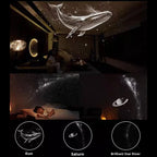 GalaxyStar™ 2-in-1 Rotating Galaxy Projector Night Light